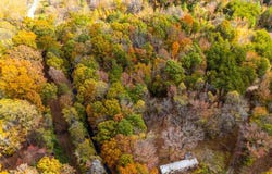 Prospect Road, Prospect, VA 23960