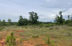 Davis Ishee Road, DeKalb, MS 39328