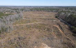 0 Lot 1 COUNTY ROAD 36 lot: 1, RANDOLPH, AL 36792