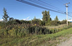 State Highway 37, Massena, NY 13662