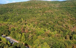 Hwy 9 S, Mountain View, AR 72560