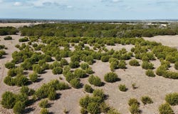 Starfall Dr lot: 42, Lampasas, TX 76550