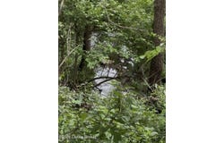 627 W Broadway St, Eminence, KY 40019