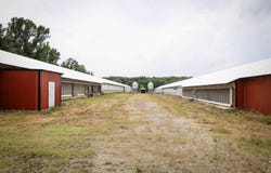 670 Ryburn Rd, Rison, AR 71665
