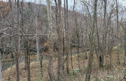 Stinking Creek Rd, LaFollette, TN 37766