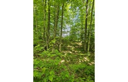 W HERZOG Road, IRON MOUNTAIN, MI 49801