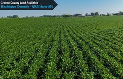 Terrace Avenue, Rippey, IA 50235