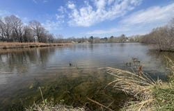 2011 S Lakewood Drive, Piggott, AR 72454-0000