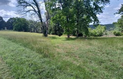 Eagle Wing Drive, Theodosia, MO 65761
