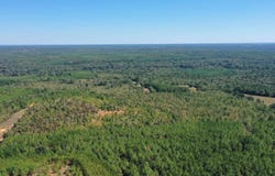 Easement Liberty Rd, Jefferson, TX 75657