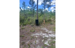 Jody Morgan Rd, Perry, FL 32348