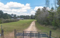 124 Turp Maples Road, Perkinston, MS 39573