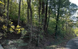 40 Roberts Road, Prospect, TN 38477