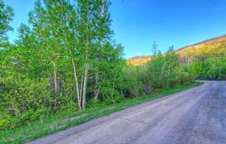 420 Powder Ridge Circle, Mesa, CO 81643