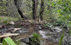 6120 Diamond Mountain Road, Taylorsville, CA 95983