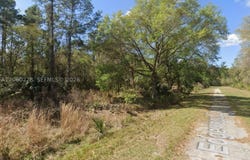 W Edgewood Dr, FL 32139