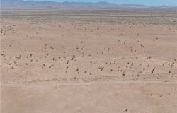 18021 N Eldon Rd, Dolan Springs, AZ 86441