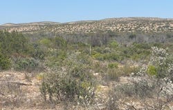 Hargrove Winters Road, Comstock, TX 78837