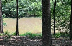 196 Old Scout Road, Jackson, GA 30233