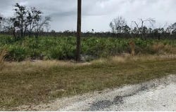 GREEN Way, INDIAN LAKE ESTATES, FL 33855