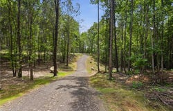 Pete Path lot: 2, Dallas, GA 30157