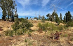 5709 Middle Libby, Paradise, CA 95969