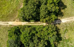 Charleston Highway, Williston, SC 29853