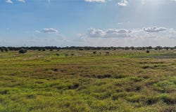 2171 E Highway 237, Round Top, TX 78954