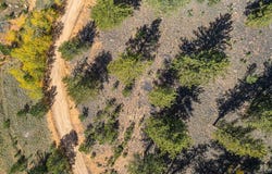 103 Gross Road, Bailey, CO 80421