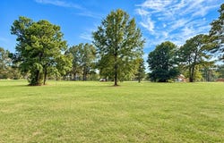 14 Sunburst Ln, Hemphill, TX 75948