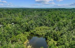 504 NW Roys Rd, Steinhatchee, FL 32359
