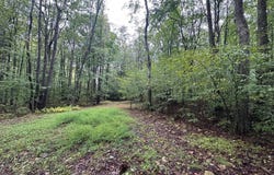 293 Dolney Ln, Fort Hill, PA 15540