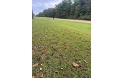 FALL CITY Rd, Jasper, AL 35503