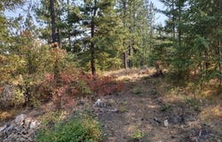 Lodgepole Ln, Elk, WA 99009