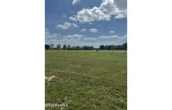 24913 Chestnut Road, Kaplan, LA 70548