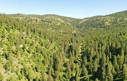 6 Tract, Garnet Range, Drummond, MT 59825