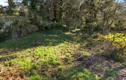 Adams, Crescent City, CA 95531