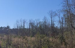0 Lot 1 COUNTY ROAD 36 lot: 1, RANDOLPH, AL 36792