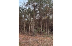 9680 Clash Lane, Lynchburg, SC 29080