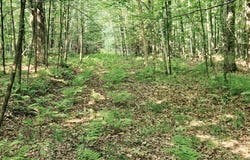 Off JOHNSON AVE, Brantwood, WI 54513
