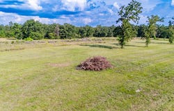 2851 Private Rd, Broaddus, TX 75929