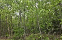 Capen Road, Gardiner, ME 04345