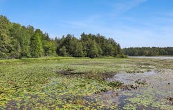 GOLF COURSE DR lot: 3 Off, Mercer, WI 54547