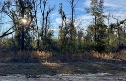 NW CHAMPION OAK BLVD lot: 27, Jennings, FL 32053