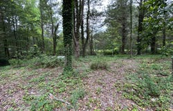 56 Mobjack Ln, Hayes, VA 23072
