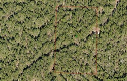 5555 Cypress Road, DeLand, FL 32724