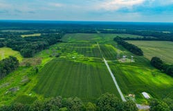 Trout Road, Dexter, KY 42036