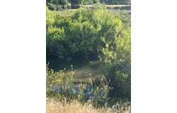Live Oak Drive, Sanger, CA 93657
