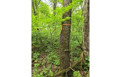 Mt Olive Rd, Donegal, PA 15622