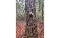 Buckatunna, MS 39322